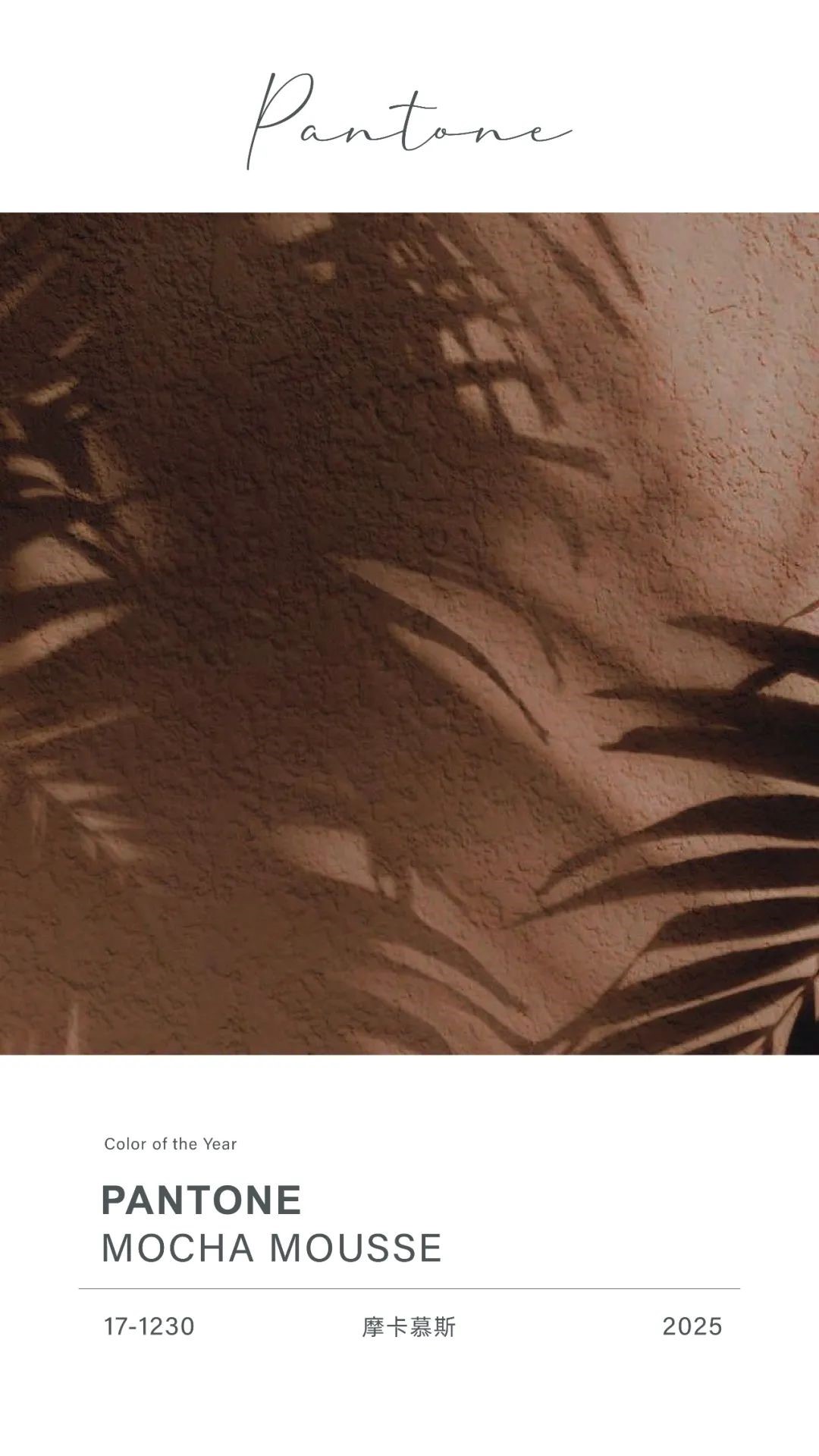 色彩三：2025 Pantone 年度流行色彩 Mocha Mousse