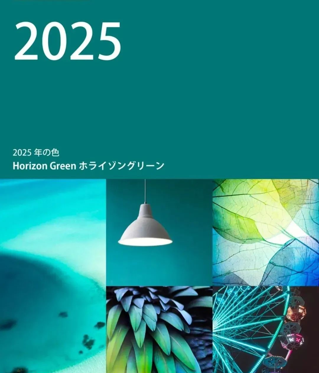 色彩九：2025最流行色彩，色彩的魅力