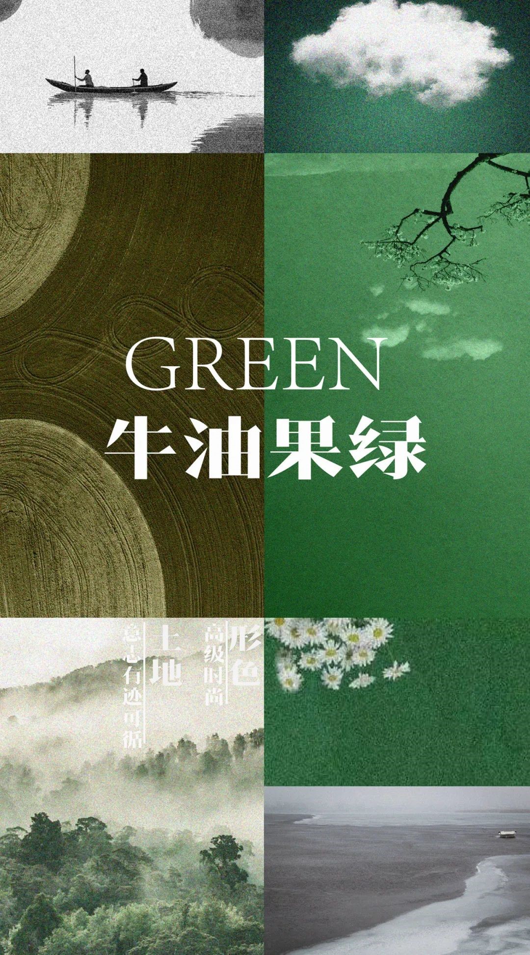 色彩十四：流行色  牛油果绿，从《延禧攻略》到年度流行色，打开一个美丽新世界